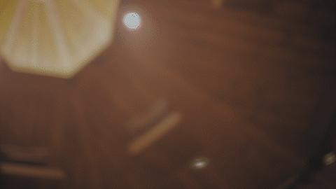 GIF_1.gif