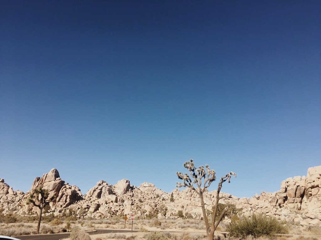 8CFB371A-FA36-4F1F-B12A-AE69F98F41C1_1_105_c.jpeg