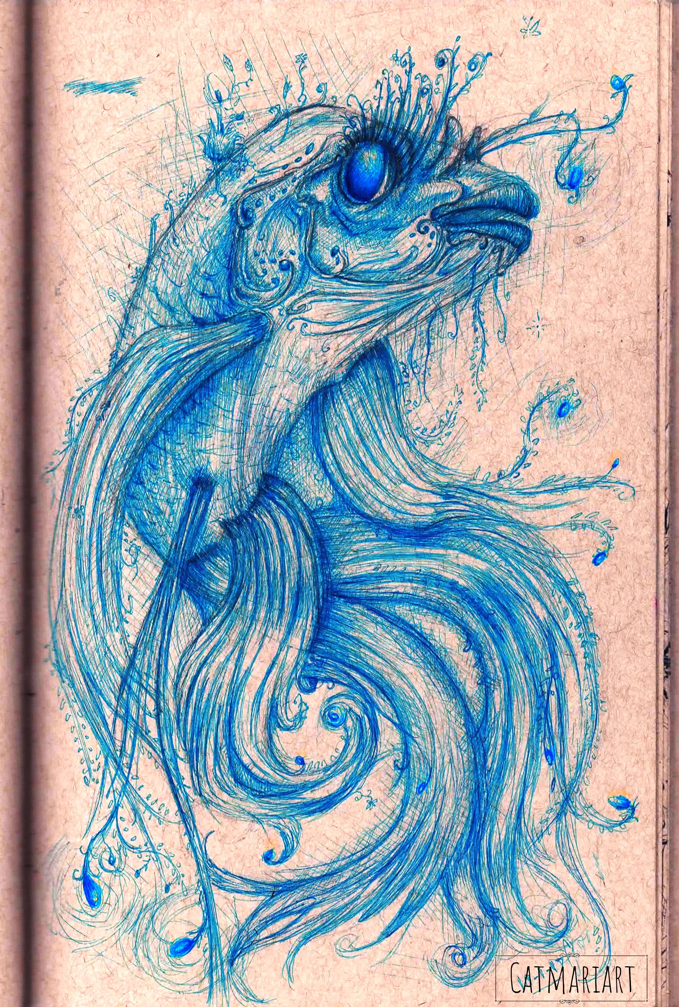 fish.jpg