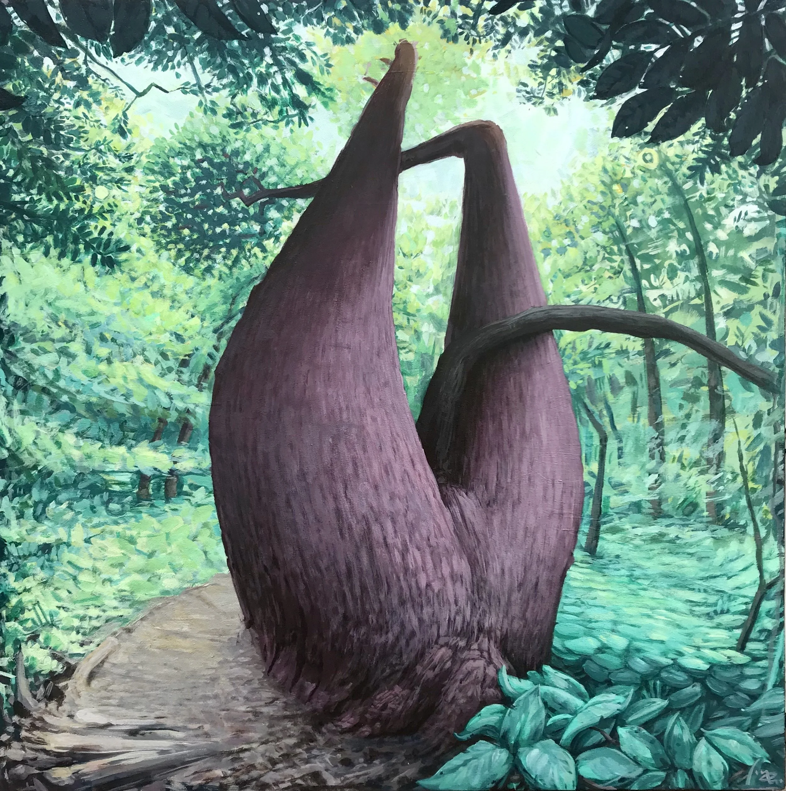 Appalacian Tree.jpeg