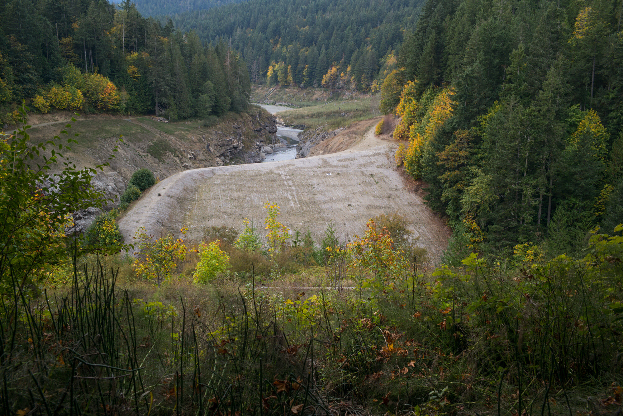 Elwha Dam