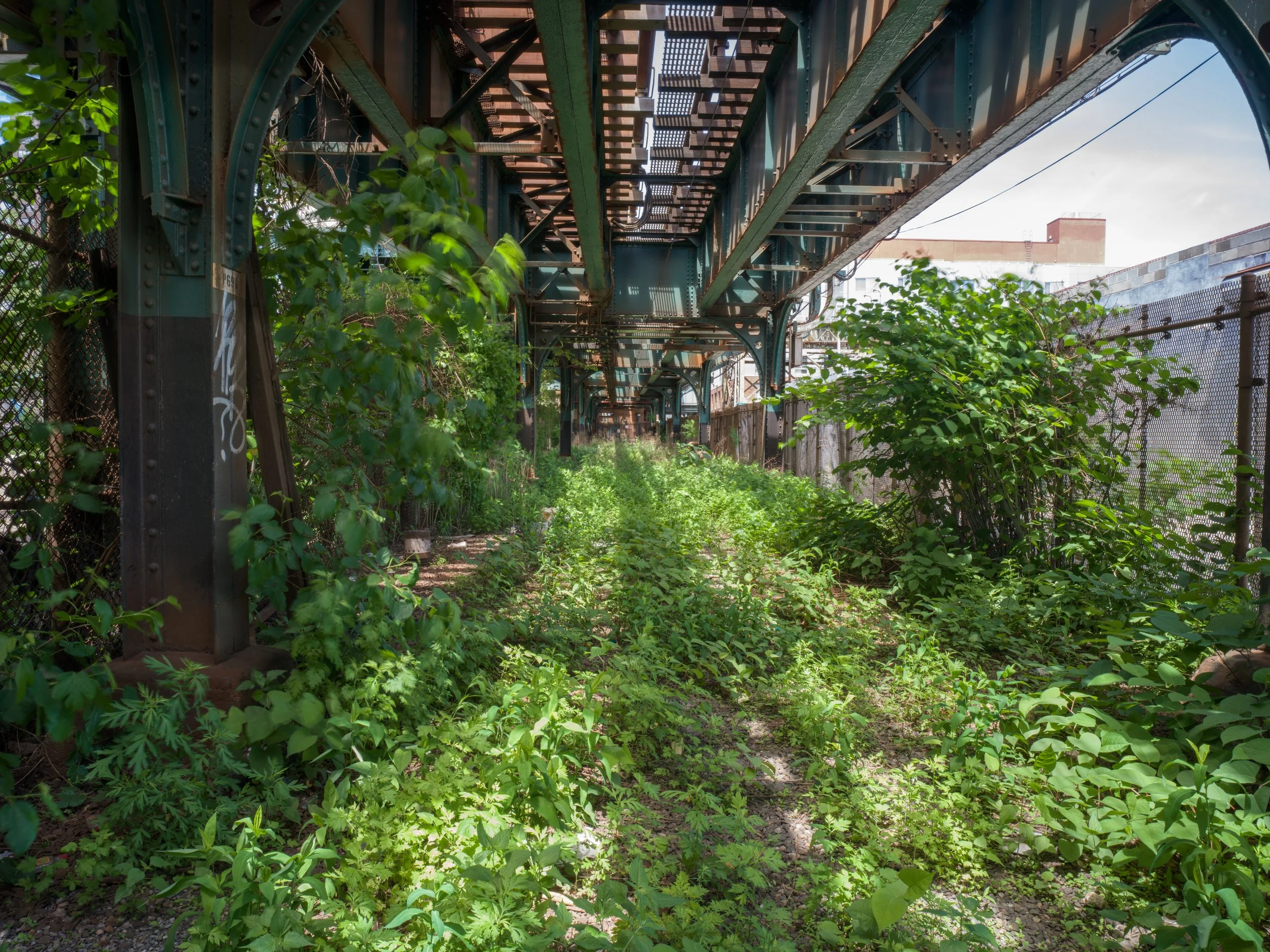 B0001130.jpg