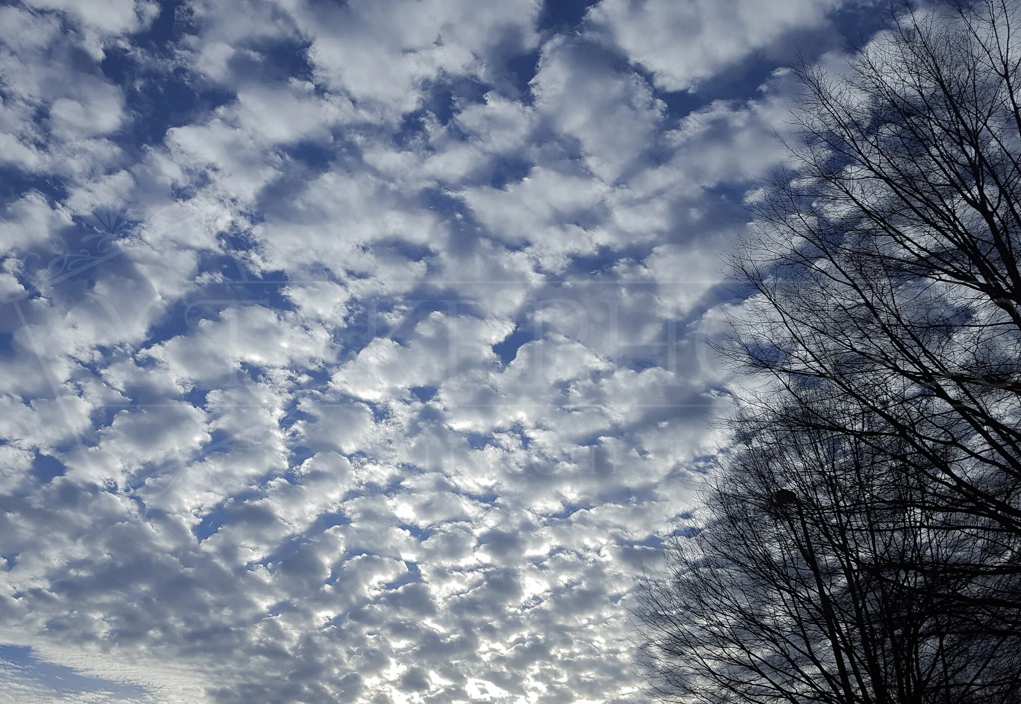 CloudyAlpha-lr-wm.jpg