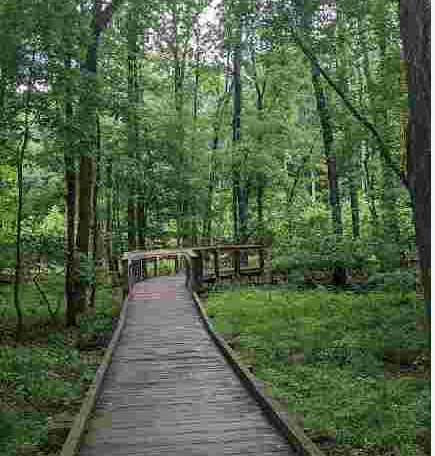 Stevens Creek Nature Preserve Hike