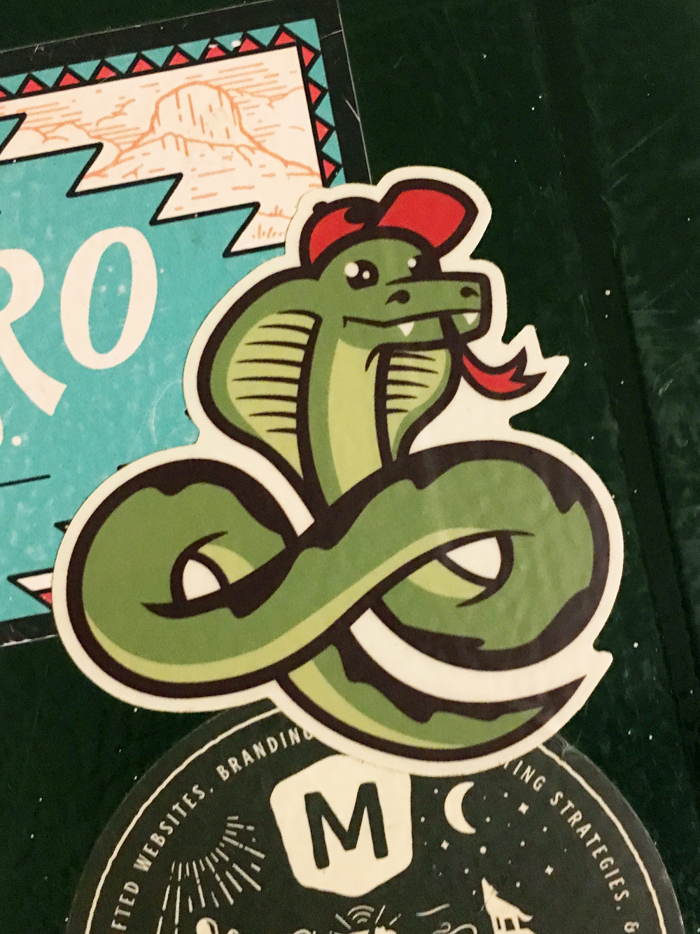 snake_sticker.jpg