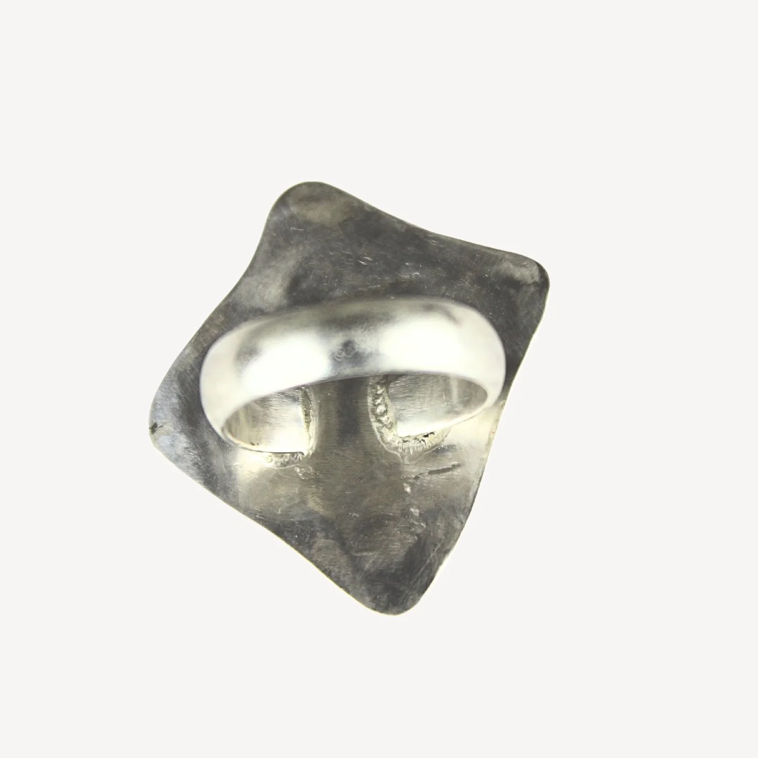 Sliver Rx5b.jpg