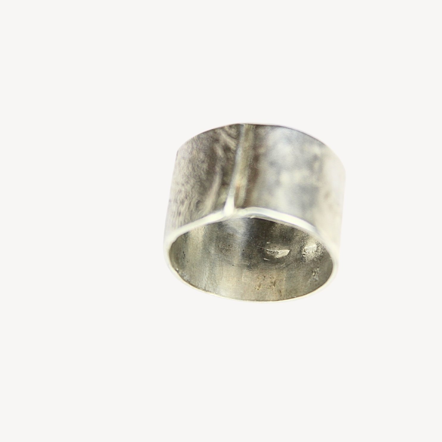 Sliver Rx2a.jpg