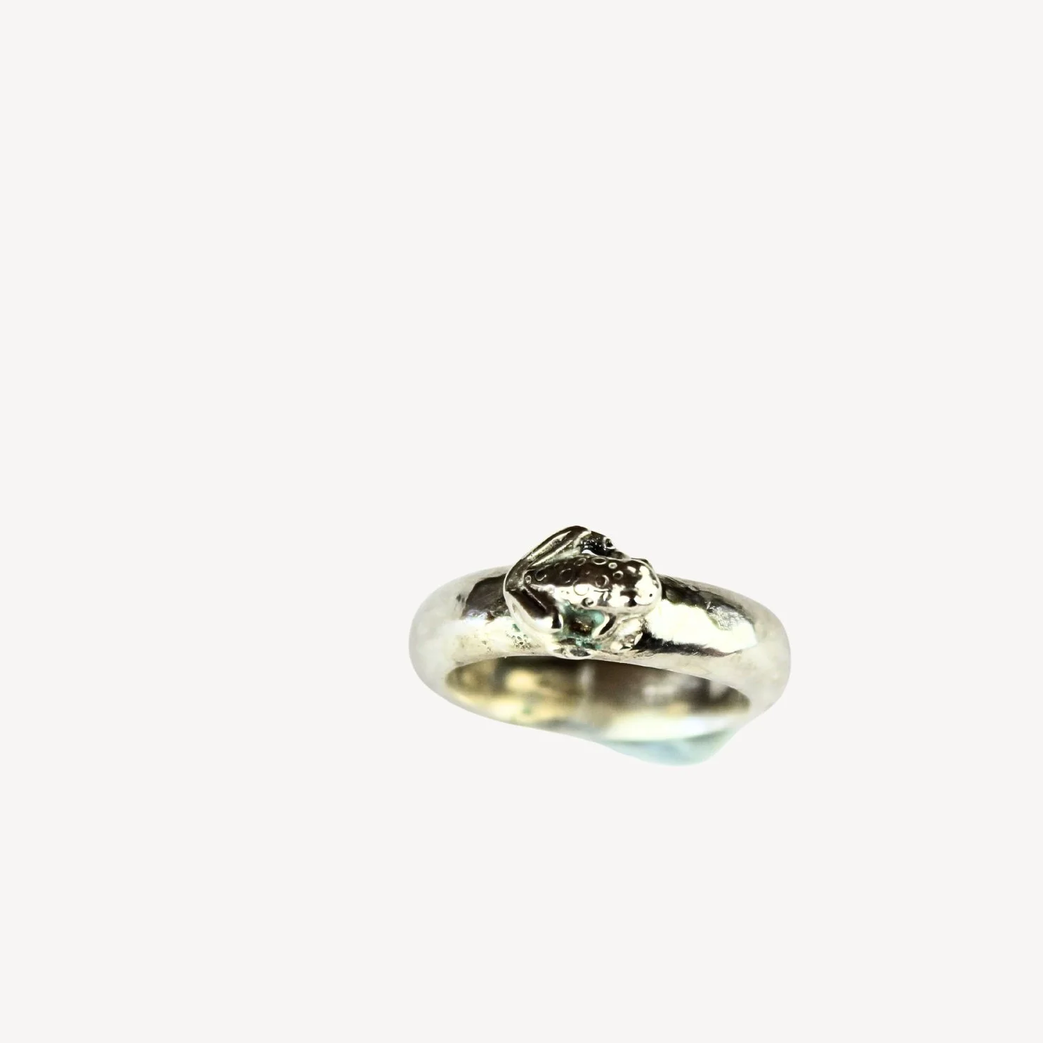 Sliver Rx6a.jpg