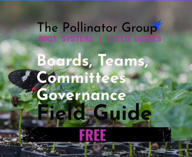 The Governing Body Field Guide