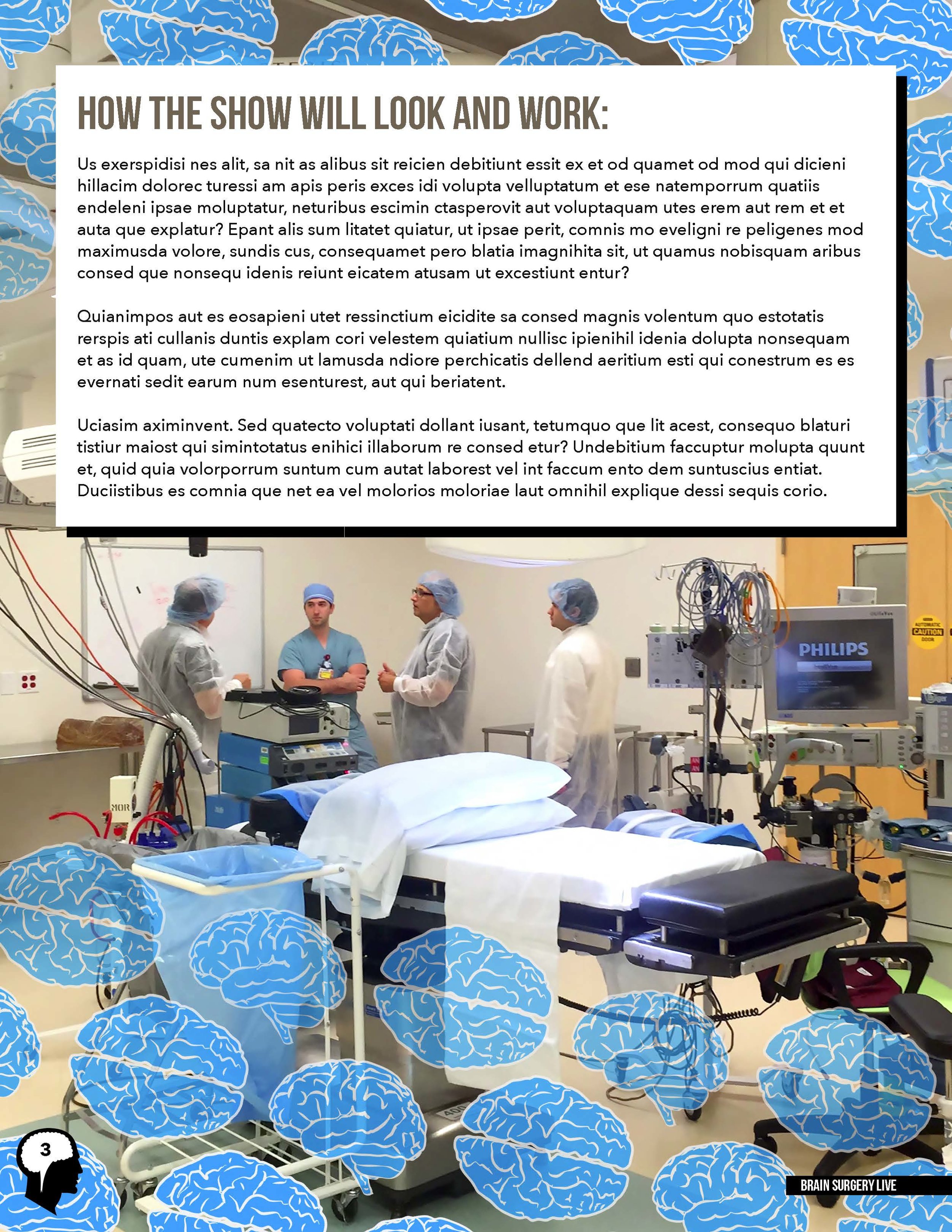 BRAIN SURGERY LIVE - Blank Treatment v.12.0-BLANK_Page_03.jpg