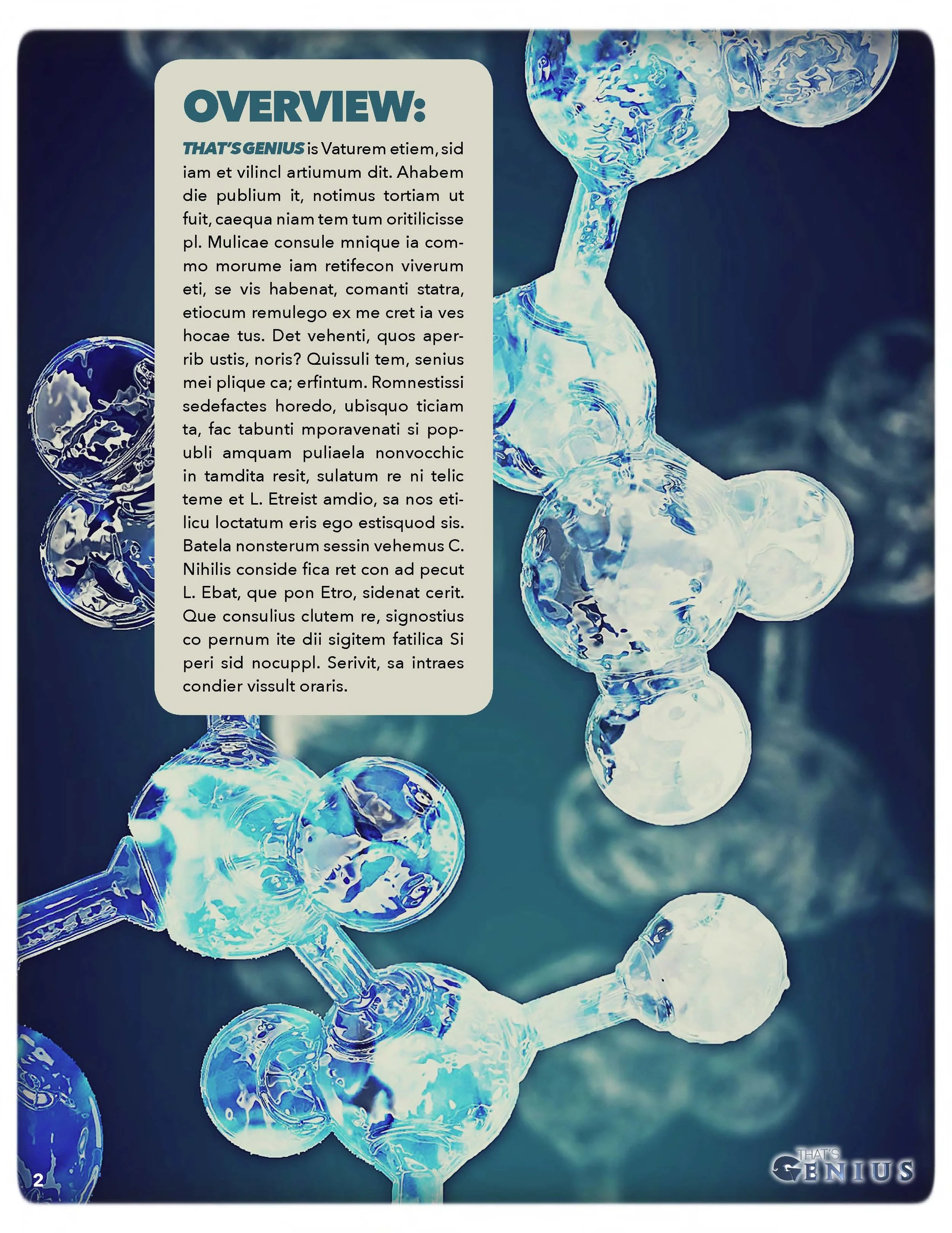 THATS GENIUS - BLANK Treatment v.3.0-BLANK_Page_02.jpg