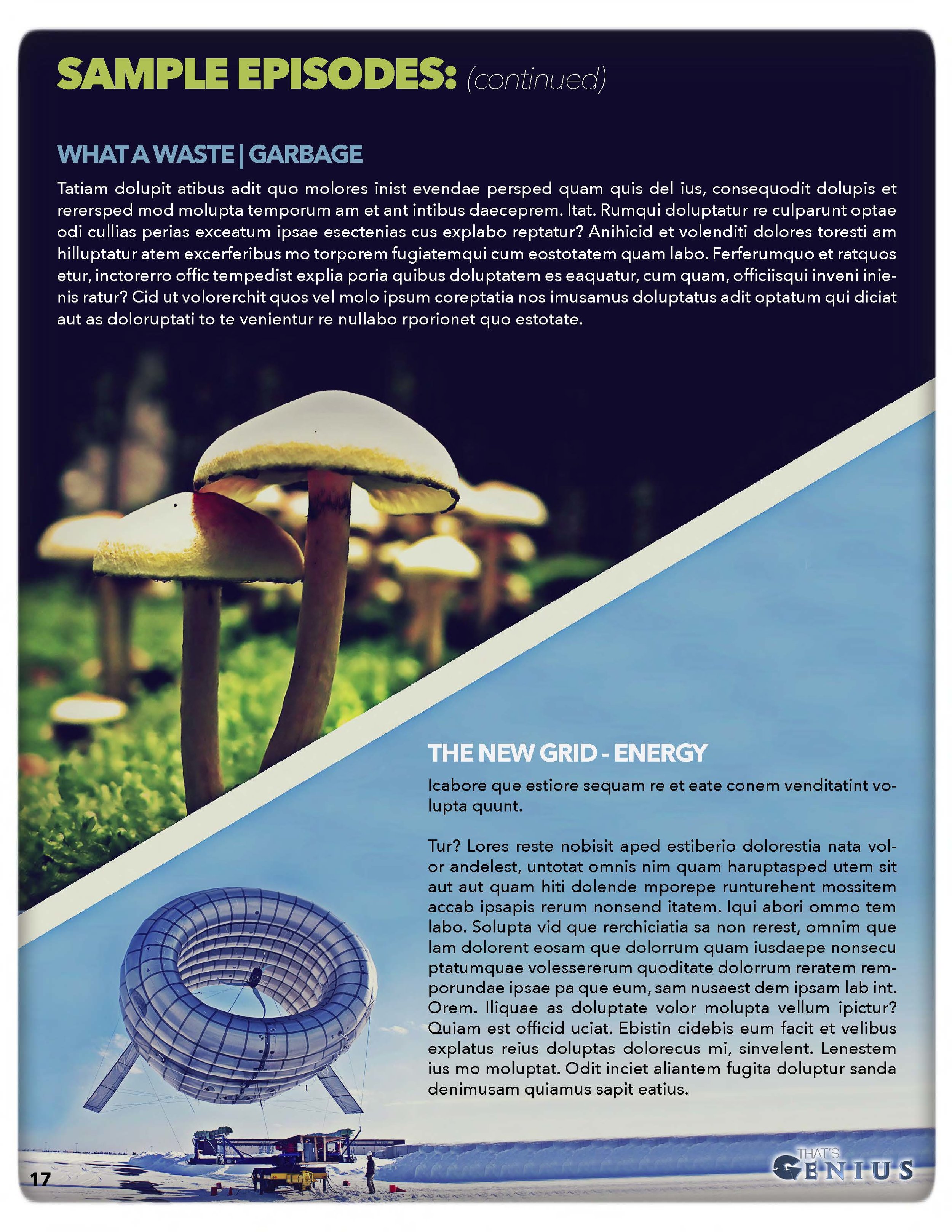 THATS GENIUS - BLANK Treatment v.3.0-BLANK_Page_17.jpg