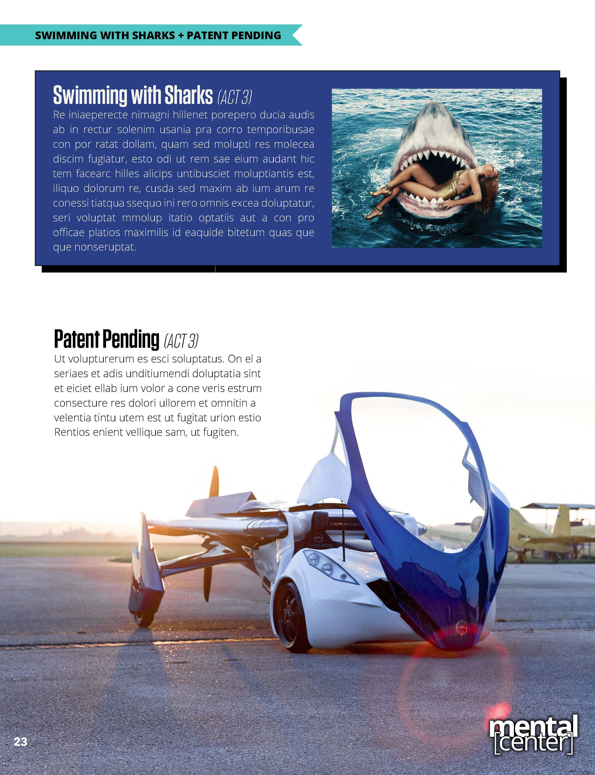 MENTAL CENTER - Treatment v.3.0 BLANK_Page_23.jpg