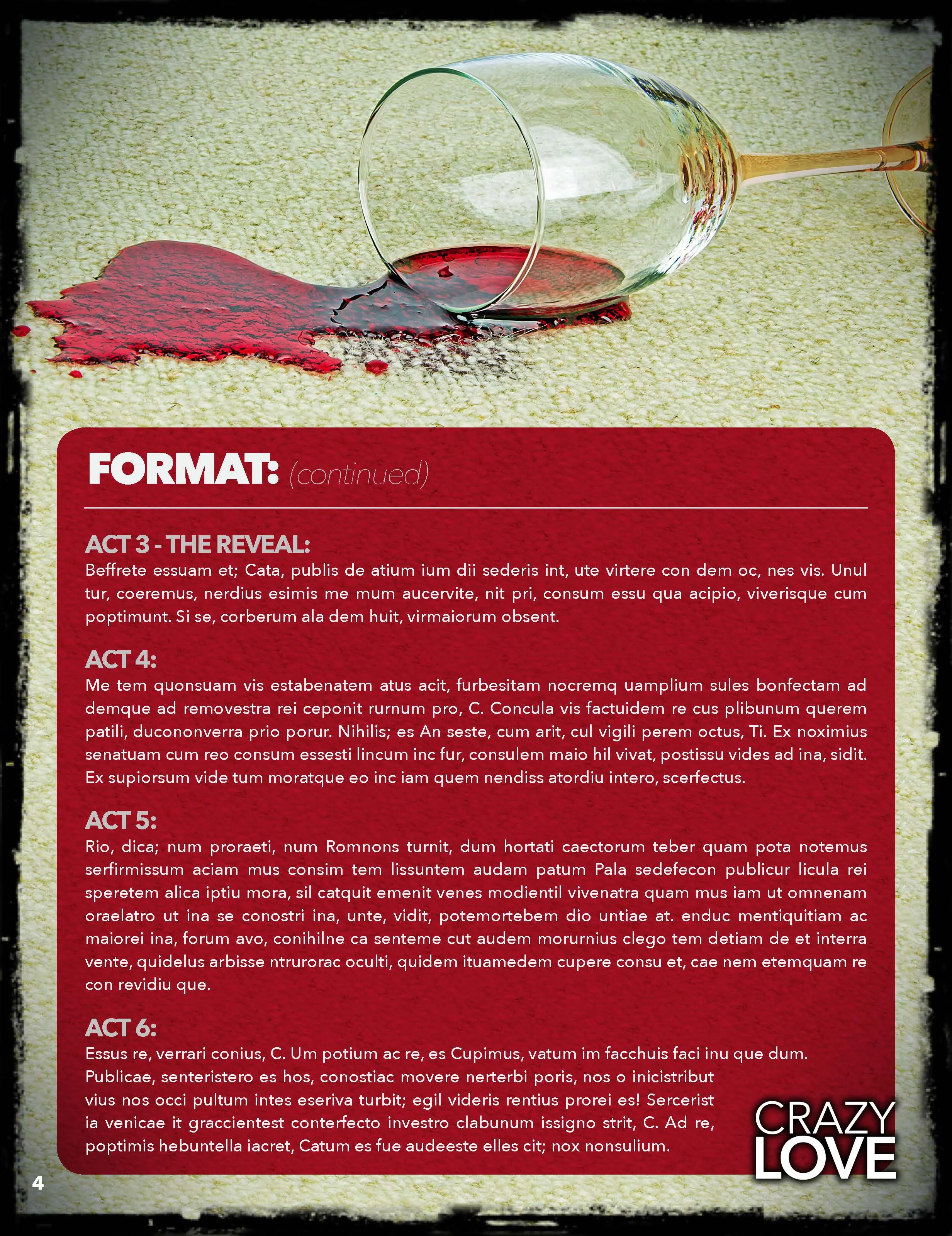 CRAZY LOVE - Treatment v.4.0 BLANK_Page_4.jpg