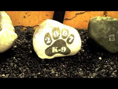 Part 1 - USO TOUR - Naughty By Nature travels to Djibouti, Africa