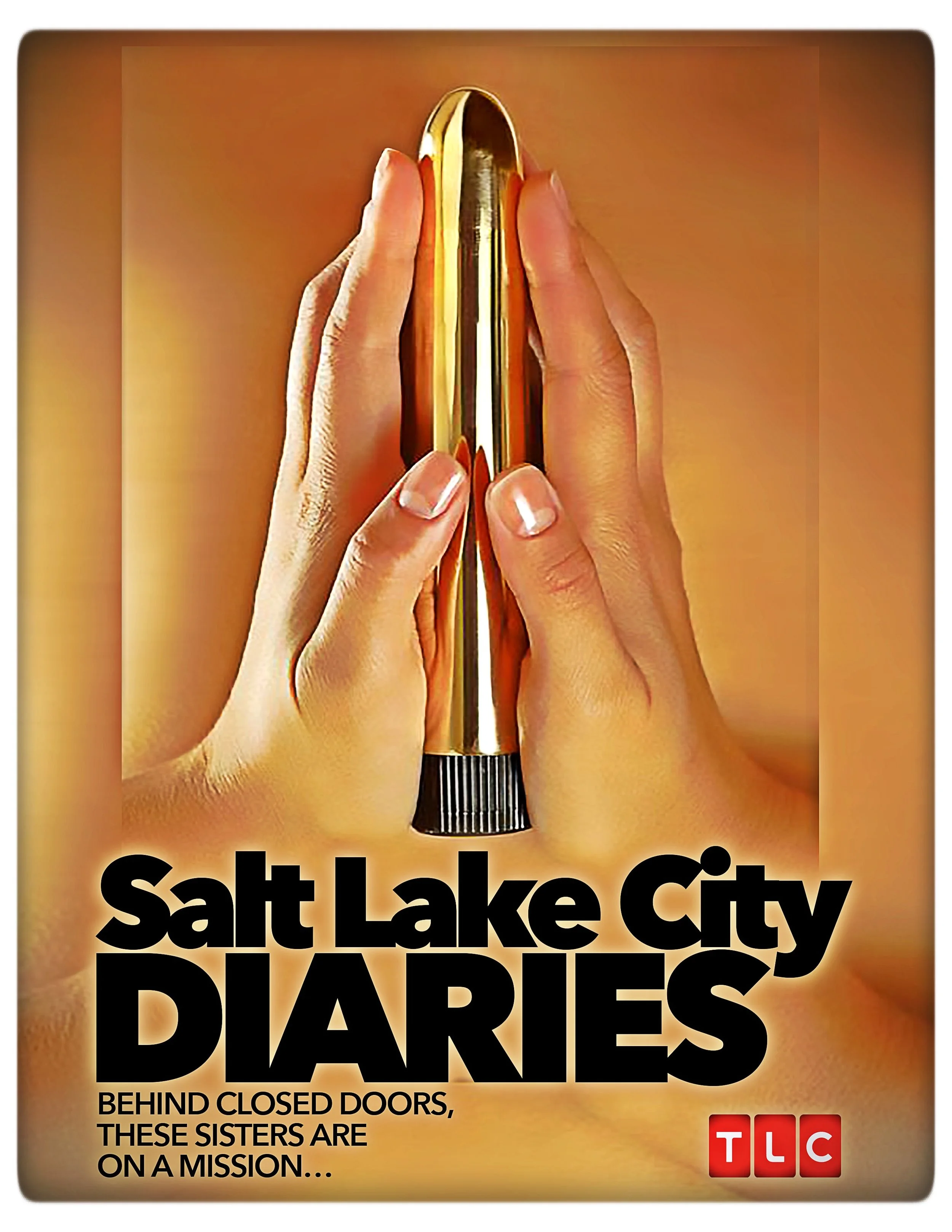 SLC DIARIES COVER 05 efx.jpeg
