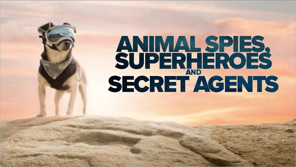 AS -BLANK_Page_01.jpg