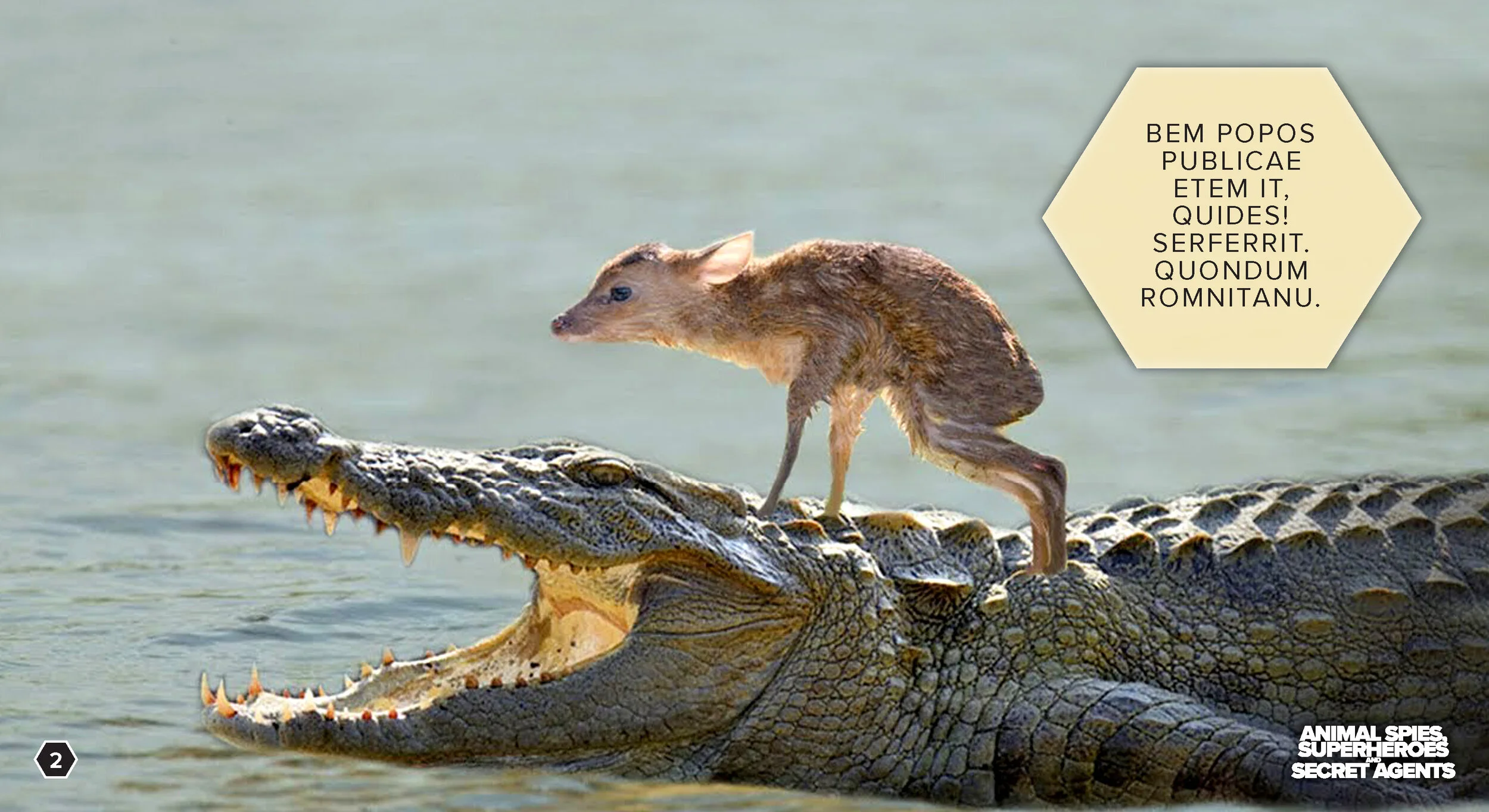 AS -BLANK_Page_02.jpg