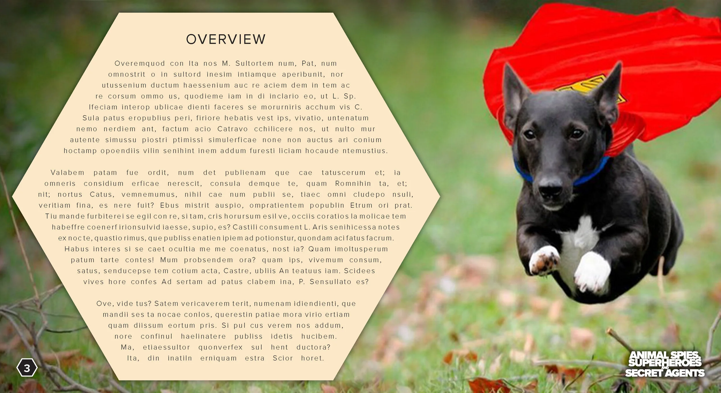 AS -BLANK_Page_03.jpg