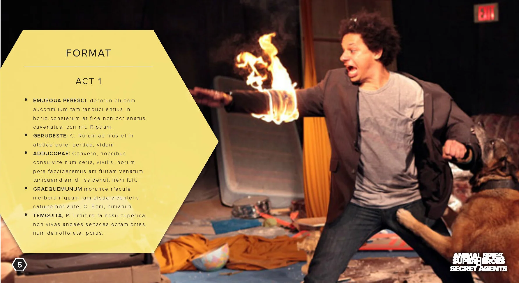 AS -BLANK_Page_05.jpg