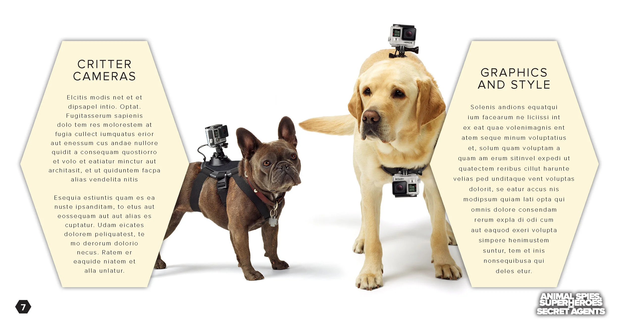 AS -BLANK_Page_07.jpg