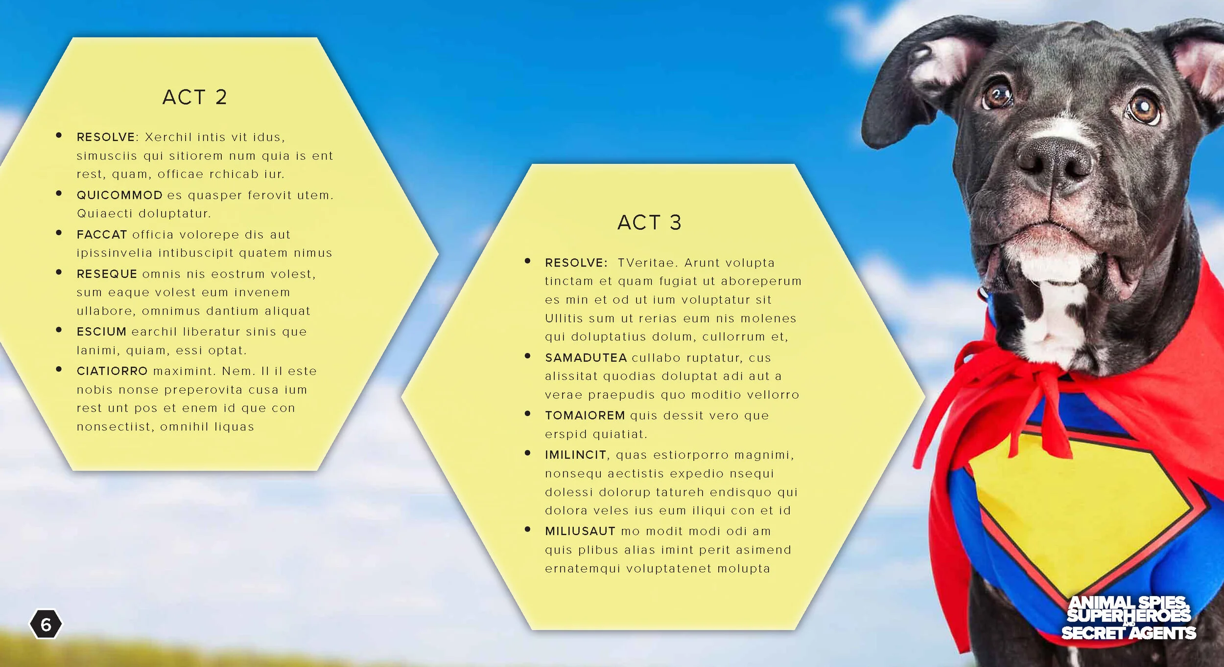 AS -BLANK_Page_06.jpg