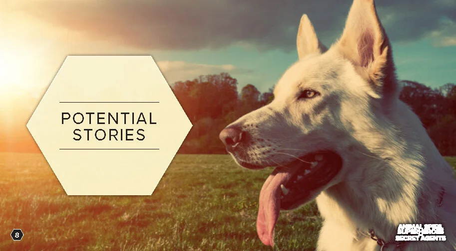 AS -BLANK_Page_08.jpg