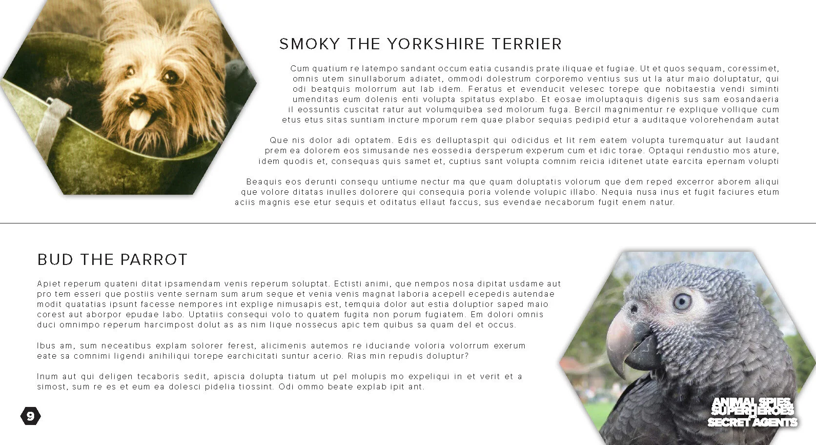 AS -BLANK_Page_09.jpg