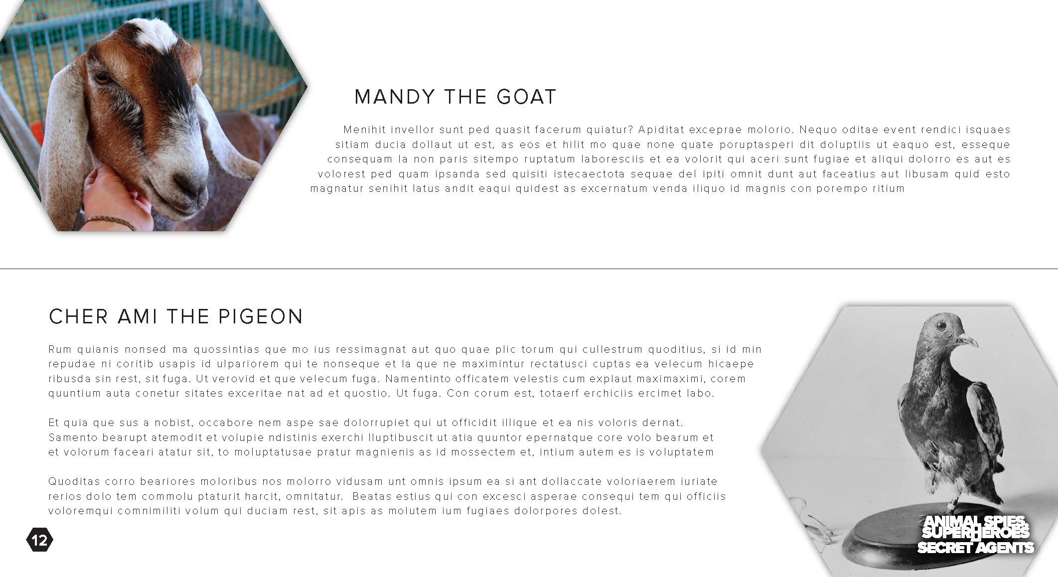 AS -BLANK_Page_12.jpg