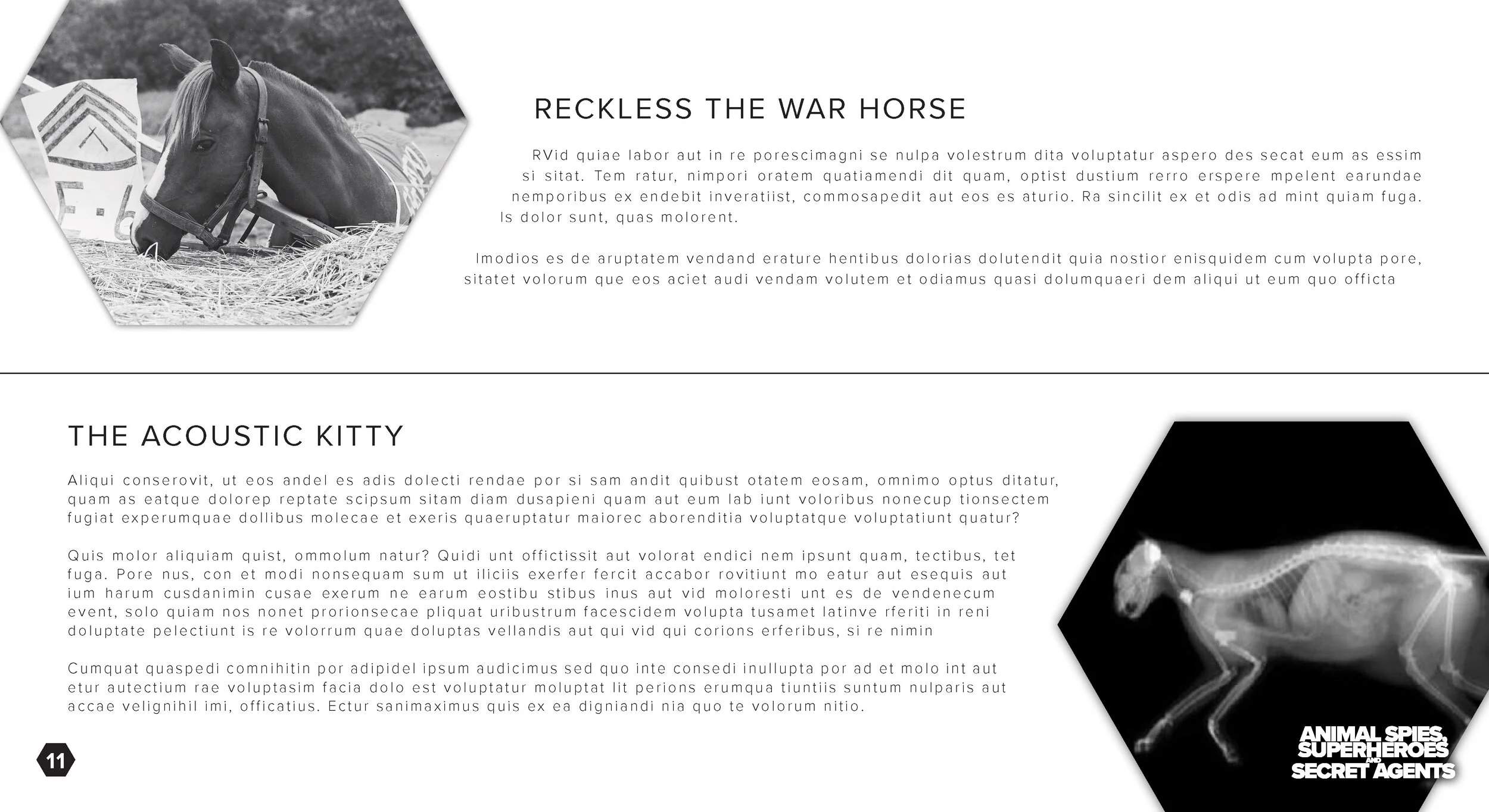 AS -BLANK_Page_11.jpg