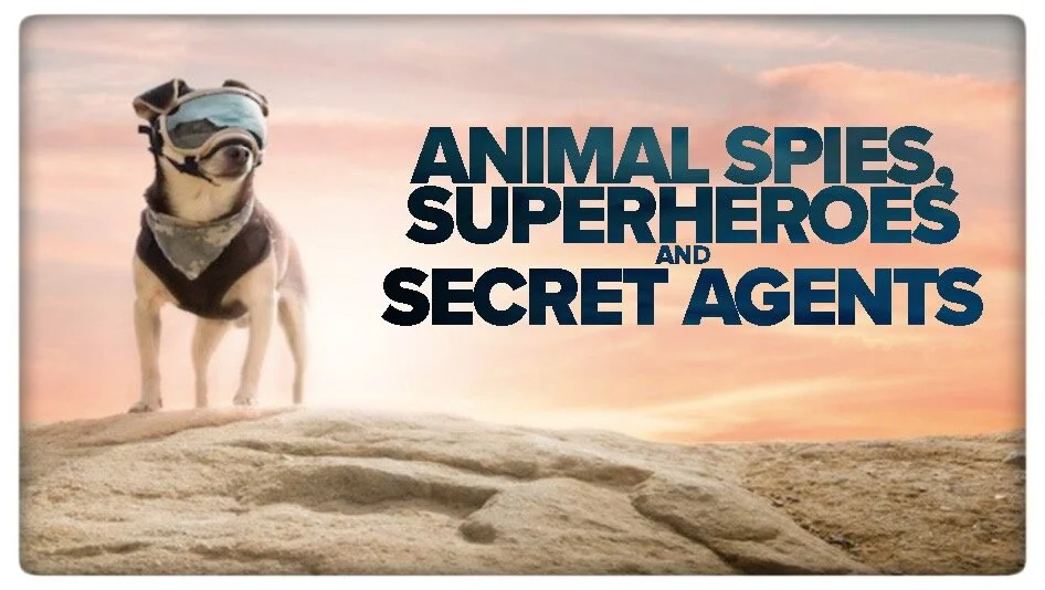 AS -BLANK_Page_01 efx.jpeg