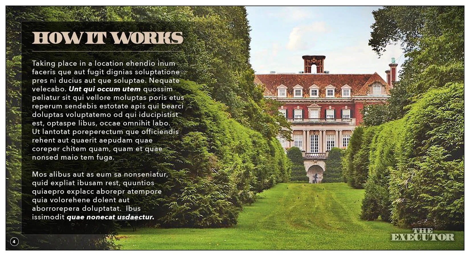 THE EXECUTOR - v.2.94.jpg