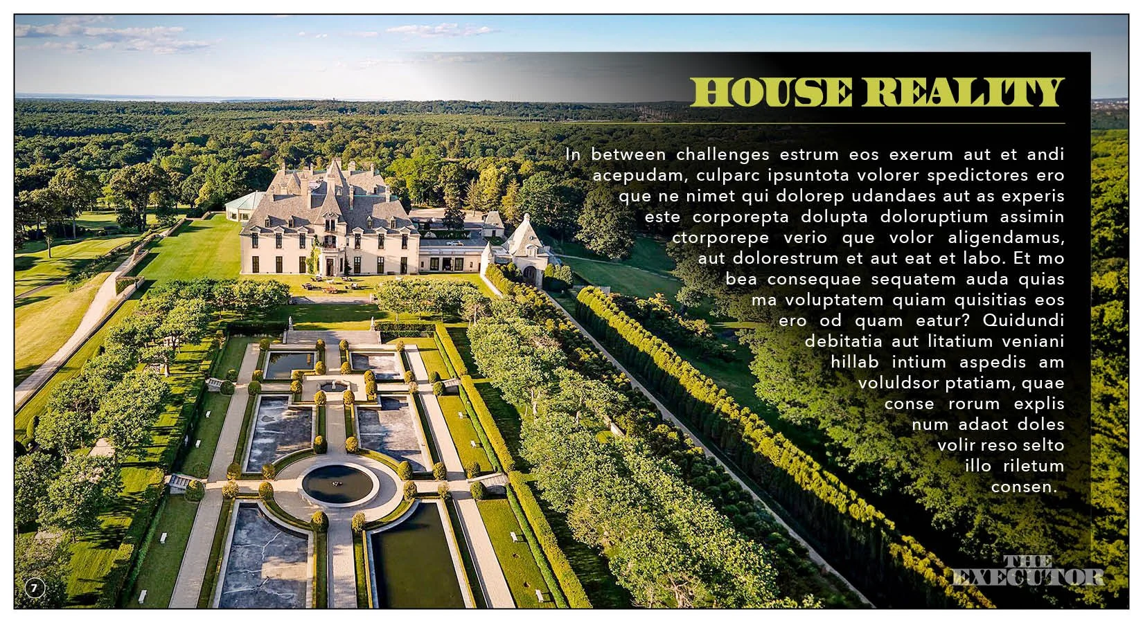 THE EXECUTOR - v.2.97.jpg