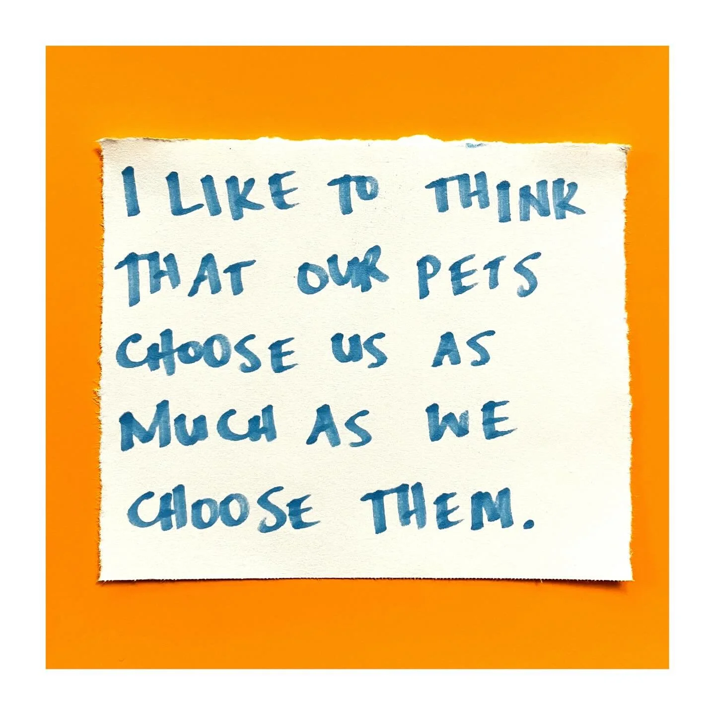 Some of my favorite predictions are the ones about future pets! (swipe for client story)