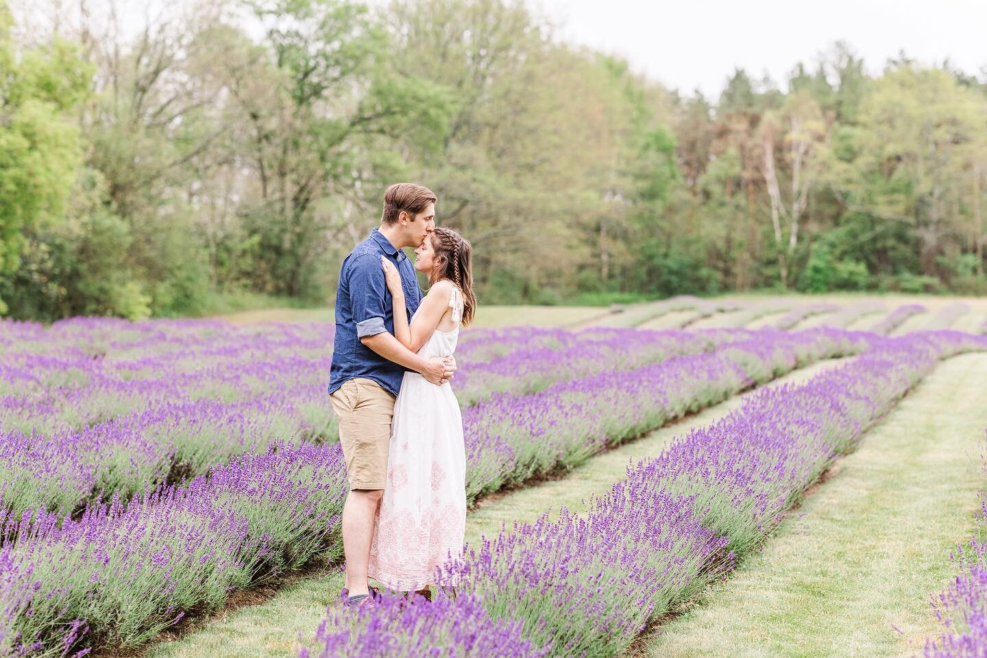 I&rsquo;ll never tire of a beautiful session at a lavender farm @laveanne_lavender 
 
This is your friendly reminder that you don&rsquo;t need a special occasion to document your love. There are no rules that say you need to wait for the ring, the bu