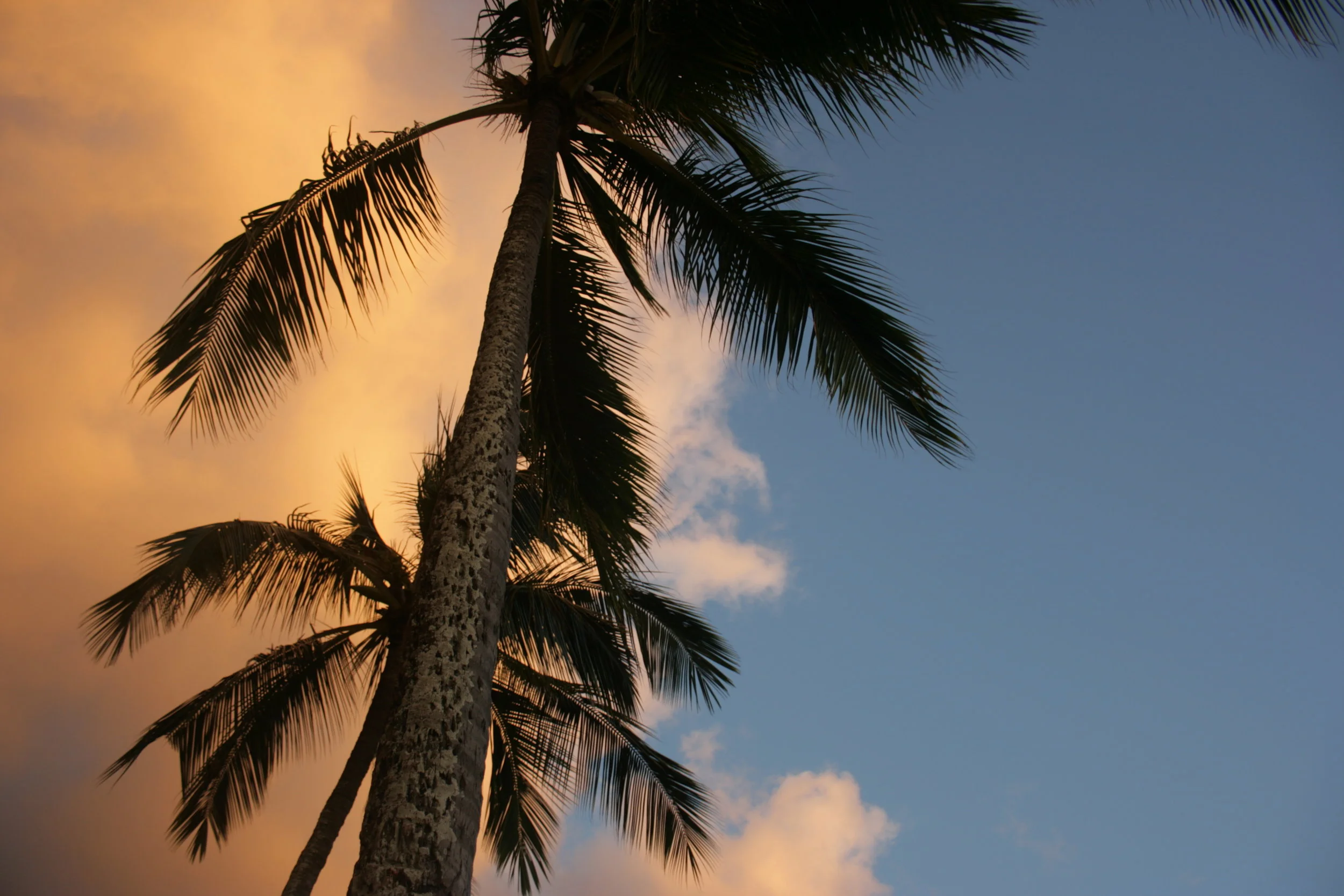 Hawaii