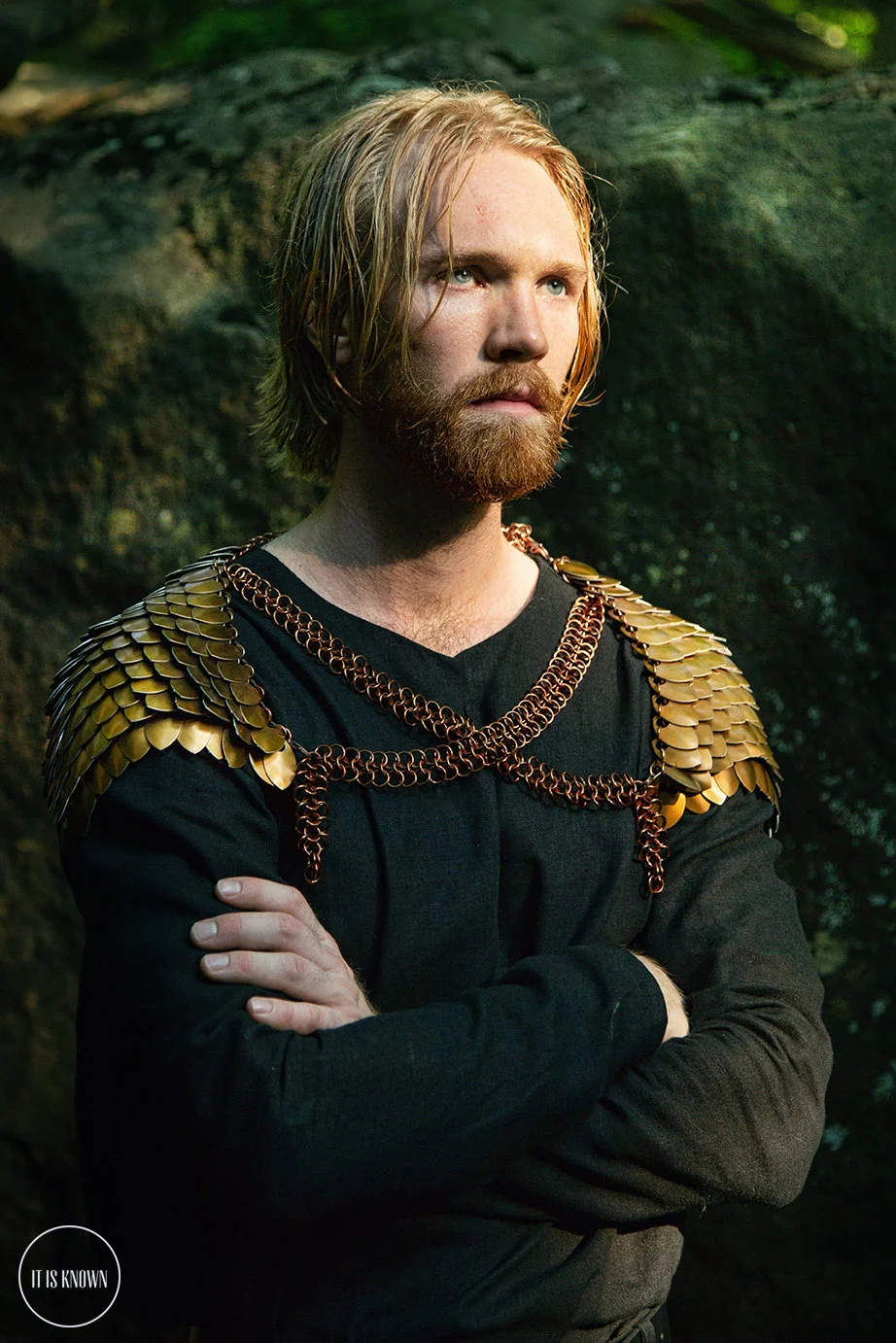 Vikings Series