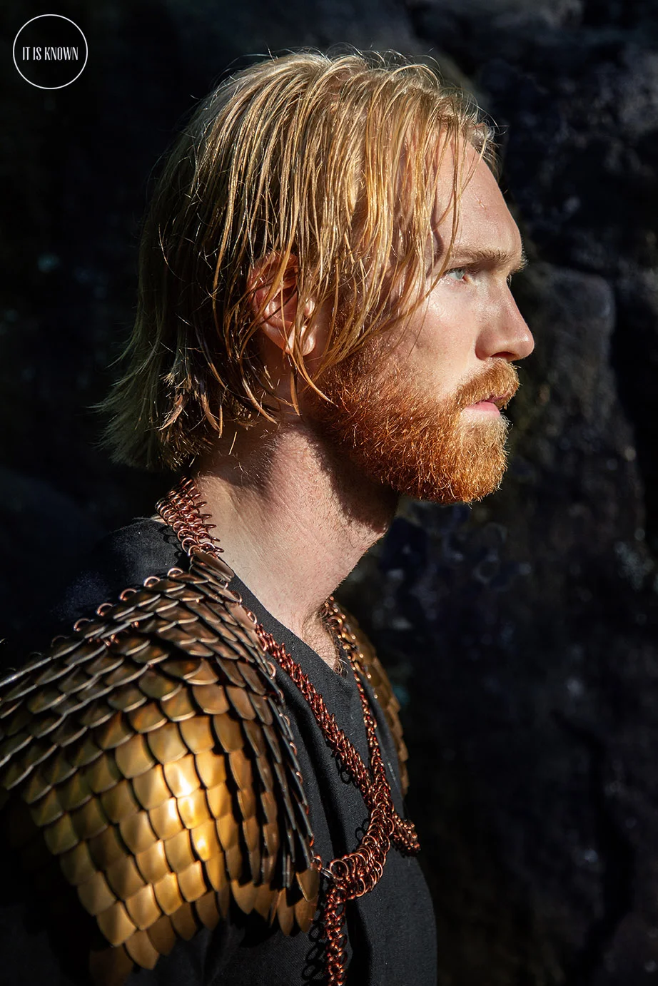 Vikings Series