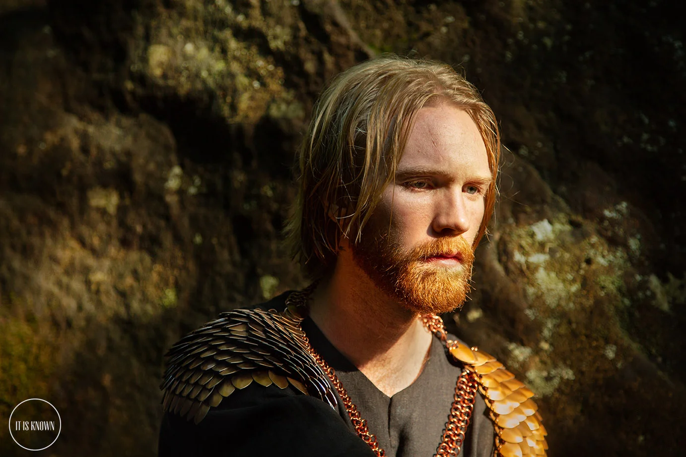 Vikings Series