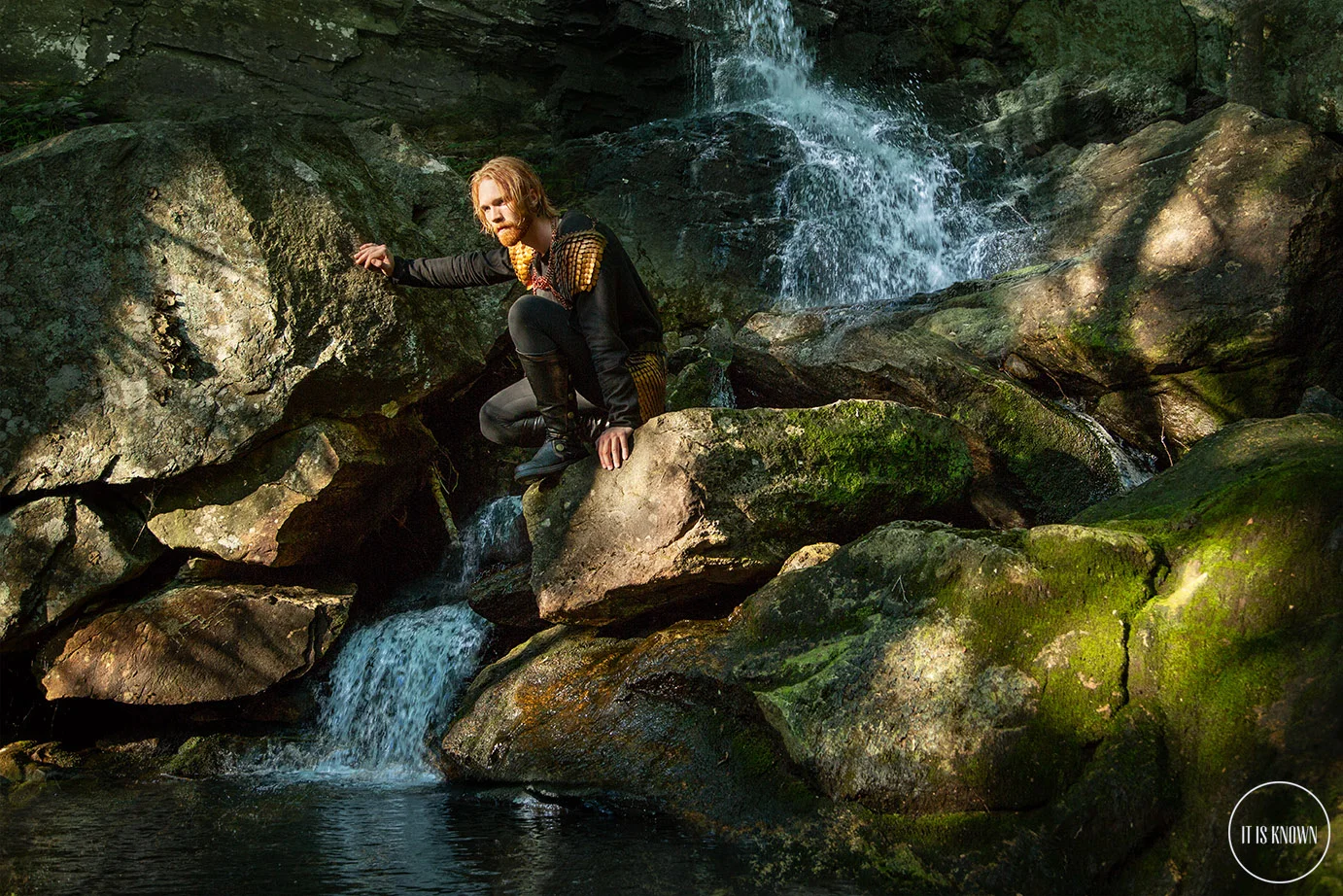 Vikings Series