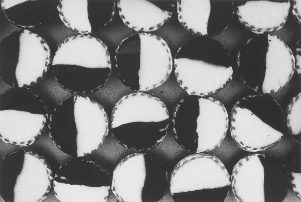 Peter Peryer, Neenish Tarts , 1983. Gelatin silver print. Image courtesy of the artist.