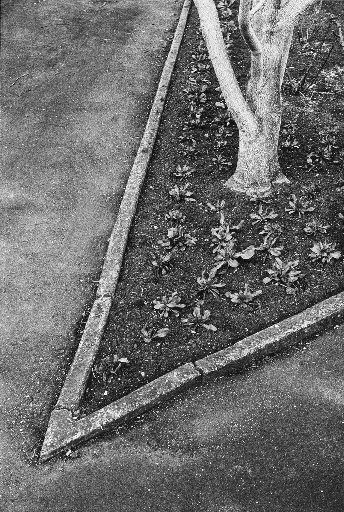 Peter Peryer, Frozen Flame , 1982. Gelatin silver print. Image courtesy of the artist.