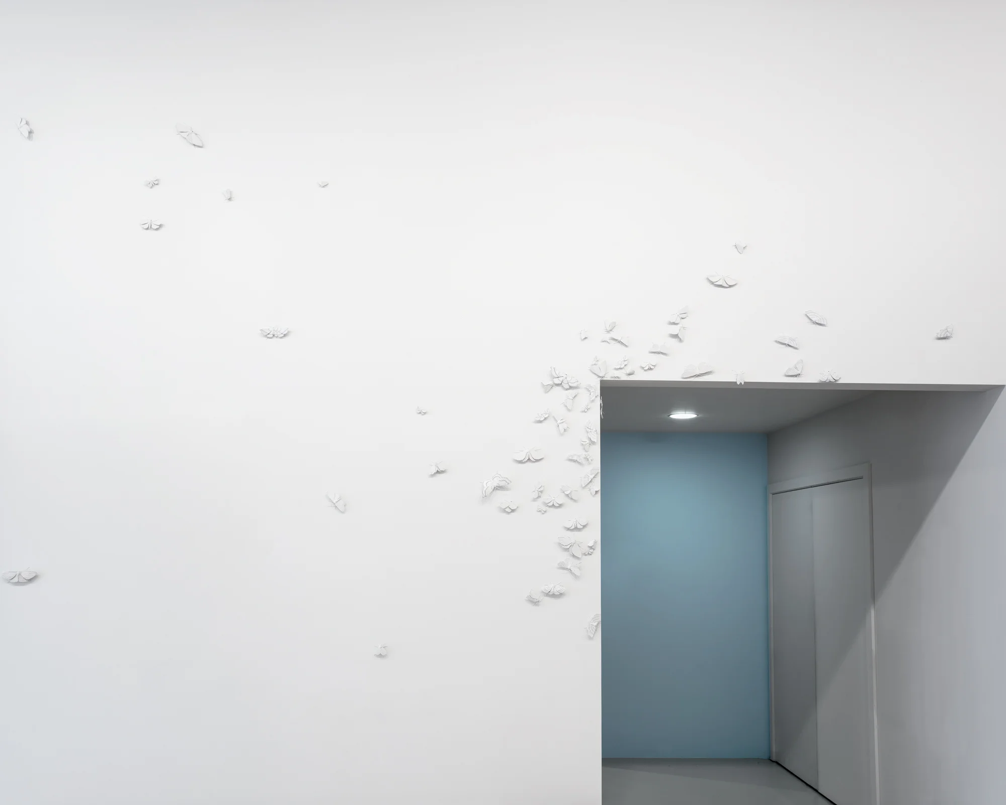 ET-Moth-Installation-6-(web)+.jpg