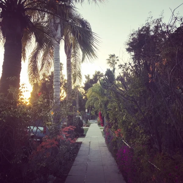 Can Walking Solve Everything?