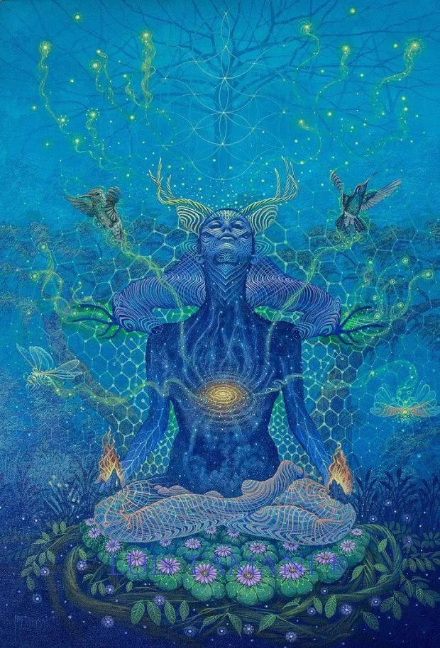 Luis Tamani internal universe.jpg