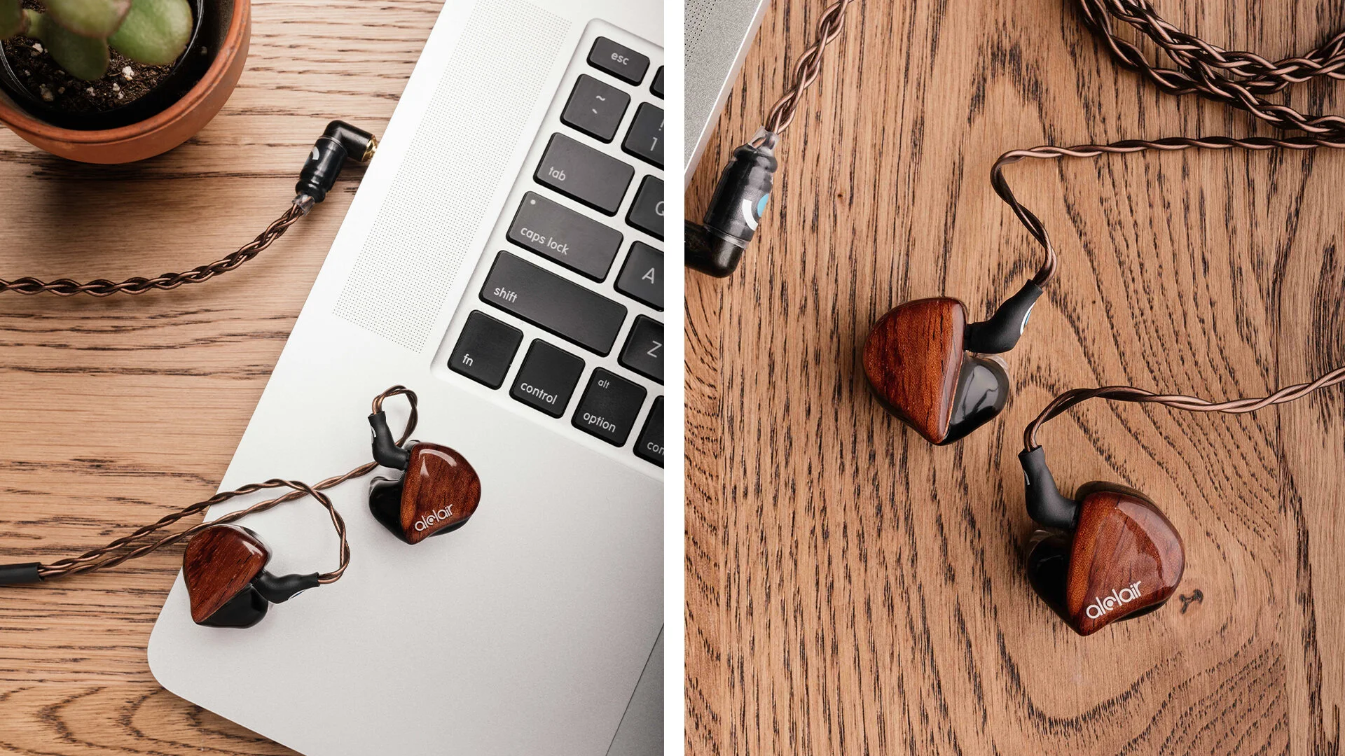 Artboard 1 copy 2.jpg