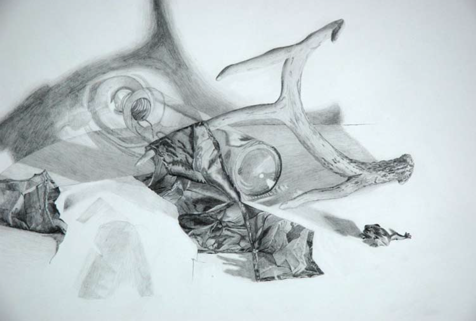 Still Life Sketch