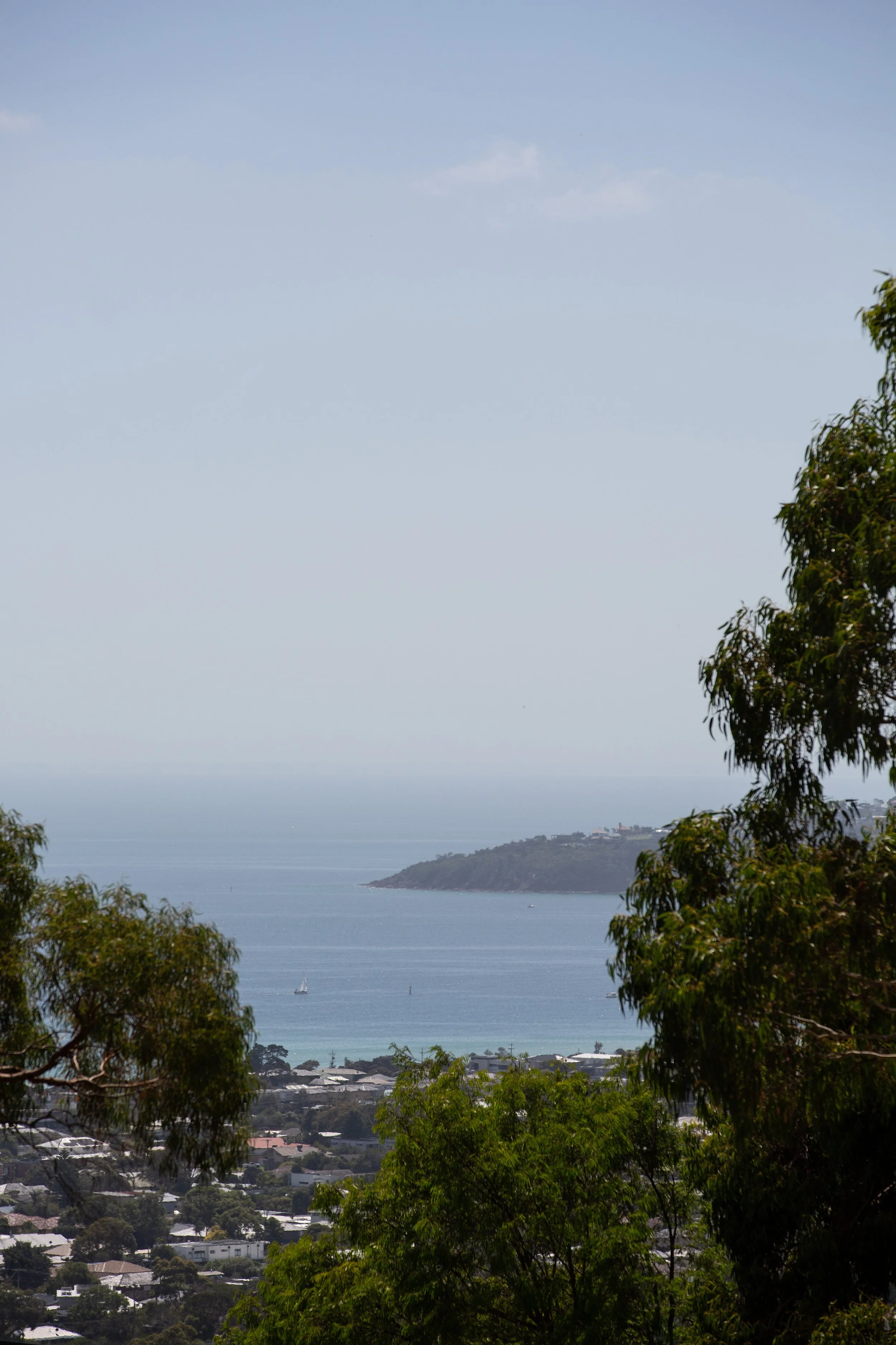dromana-mornington-peninsula-coastal-view-dmp-creative.jpg