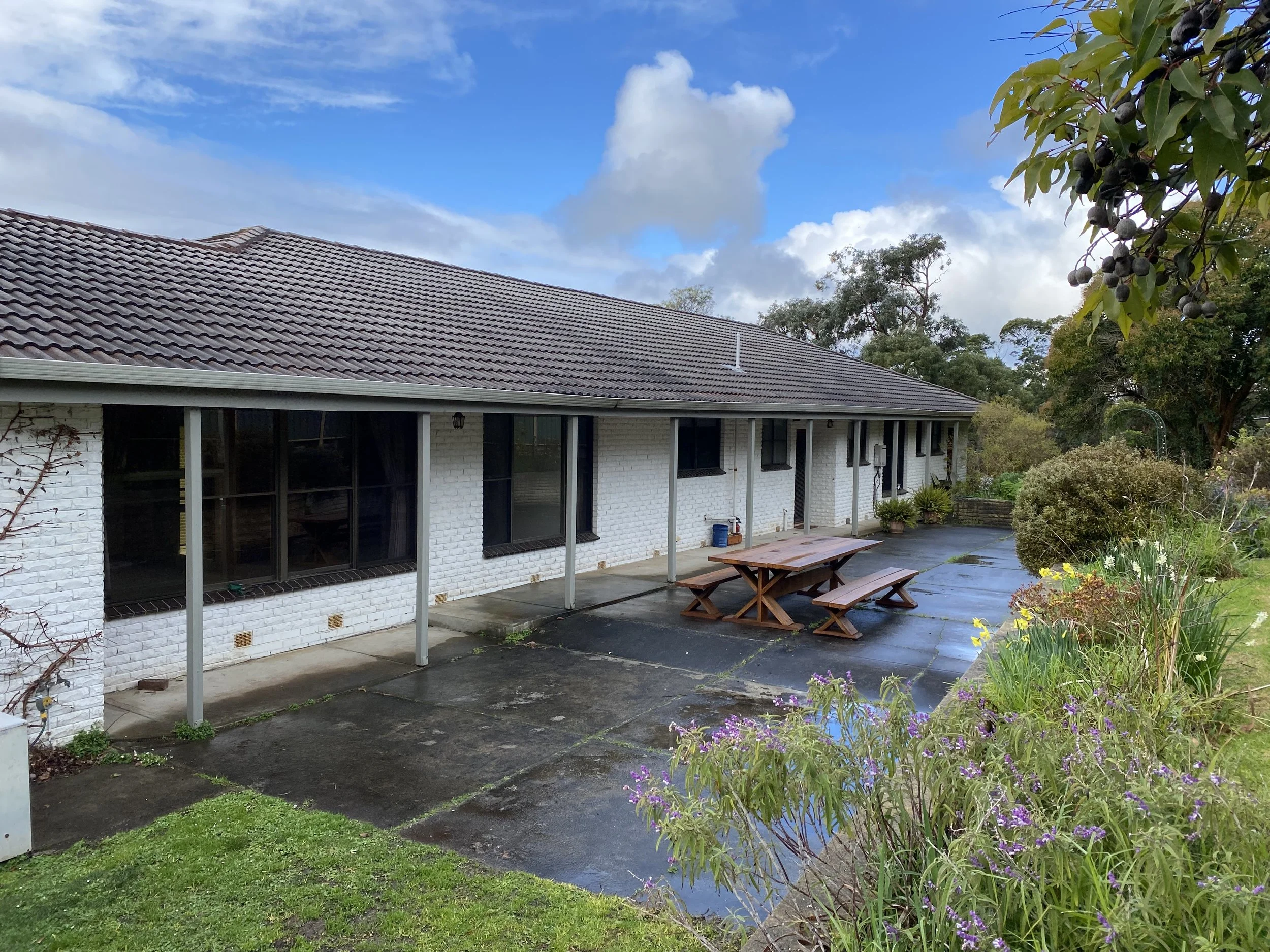 Dromana renovation before image of rear exterior with paved outdoor area, garden beds and original brick facade