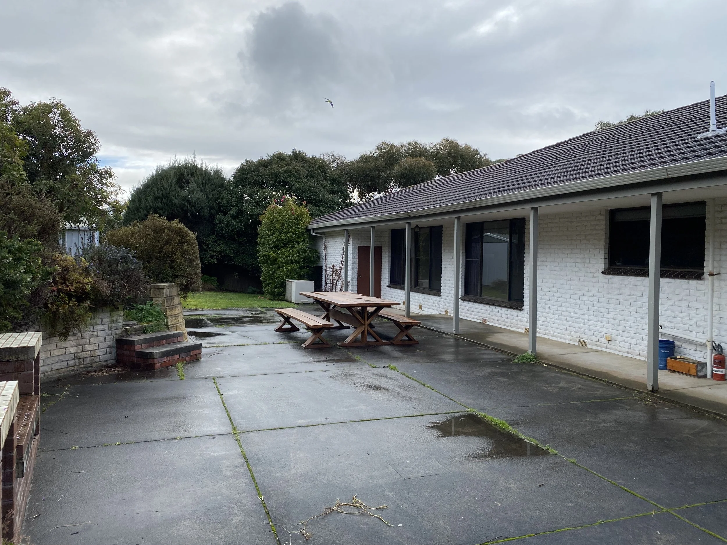 Dromana renovation before image of rear exterior with concreted outdoor area, garden beds and original brick facade